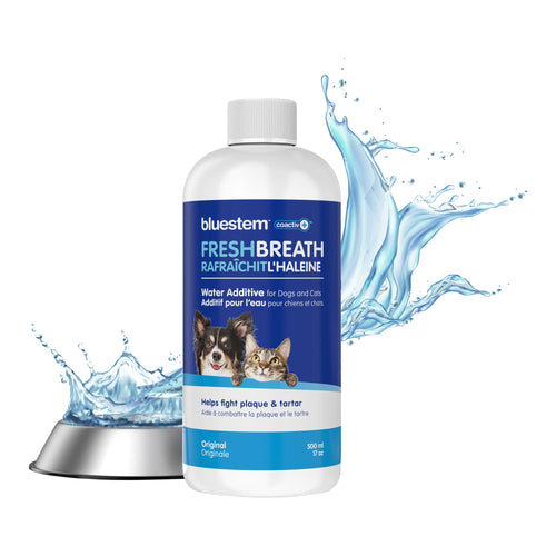 Dog & Cat Dental Water Additive – Fresh Breath & Plaque Control